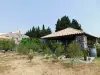 Big field of our guest house for sale in south France - Perpignan (7).webp